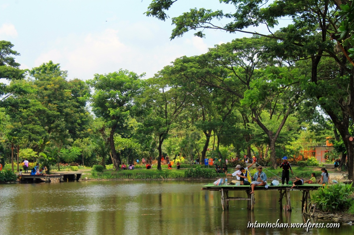 Wisata Taman Kota Surabaya : Kebun Bibit Wonorejo  The 